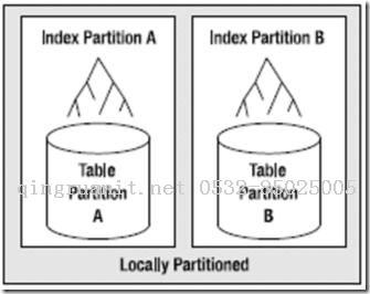 local_partitioned_index